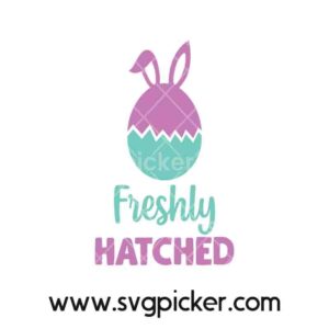 Freshly Hatched Easter Bunny SVG Cricut Files